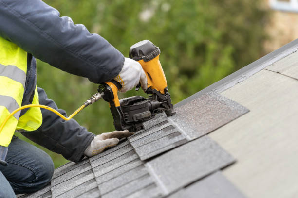 Best Roof Moss and Algae Removal  in Walnut, IL