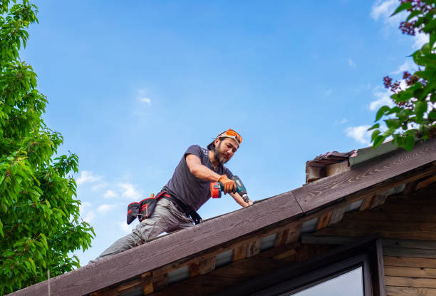 Best Rubber Roofing (EPDM, TPO)  in Walnut, IL