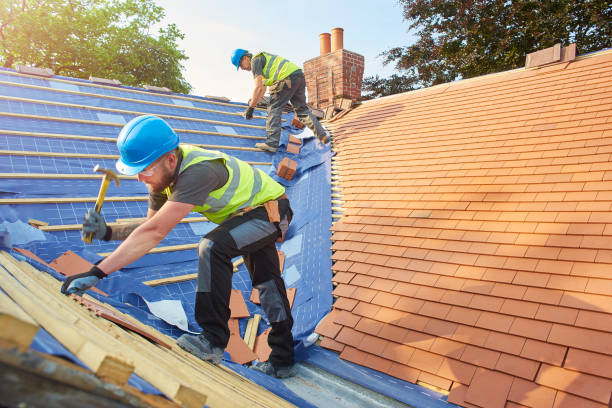 Best Skylight Installation and Repair  in Walnut, IL